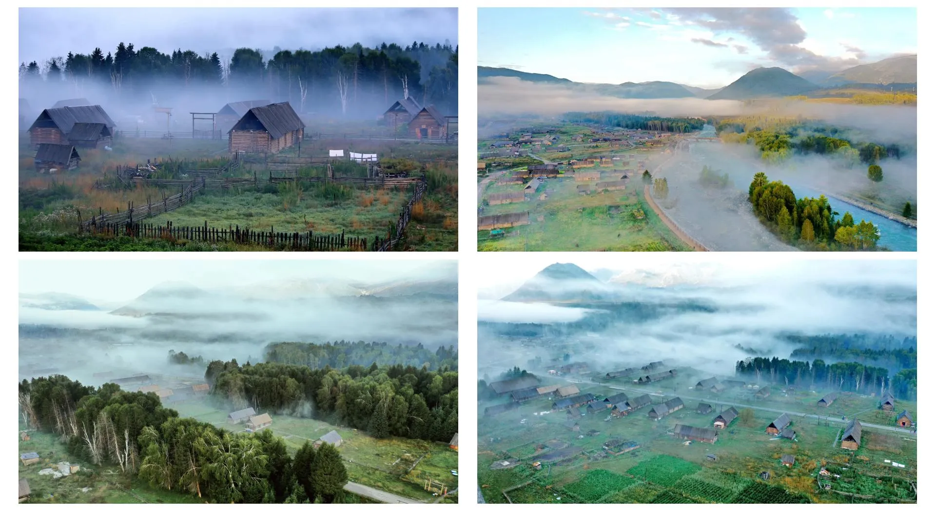 Golden birch forest and morning mist at Hemu in Xinjiang's Kanas region