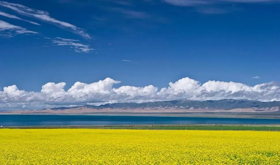 Qinghai Lake in summer — vast blue water and golden rapeseed fields near Xining, where July averages 17-19°C