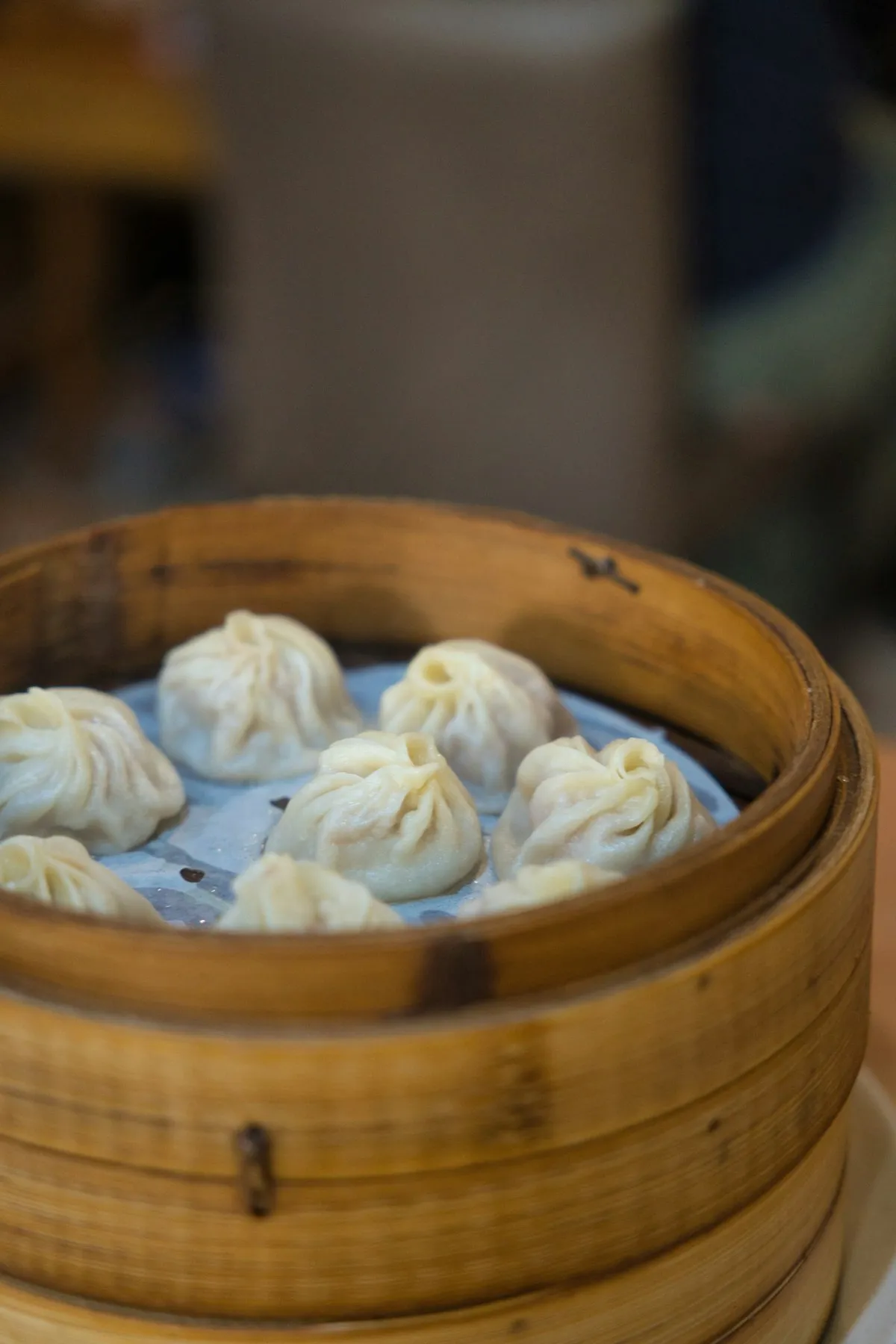 Xiaolongbao steamed soup dumplings in bamboo basket